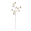 Melrose Champagne Pinecone Spray (Set of 6)