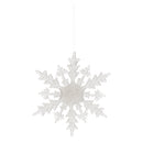 Frosted Snowflake Ornament (Set of 12)