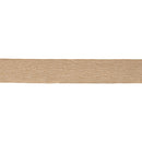 Melrose Gold Wired Ribbon (Set of 2)