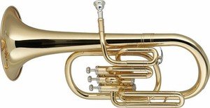 Stagg Eb 3 Valve Alto Horn with ABS Case - WS-AH235 - New Open Box