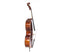 GEWA L'Apprenti VC1 Cello 3/4 - Fully Setup w/ Alphayue Strings & Bag