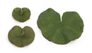 Melrose Assorted Bag of Leaves Filler (Set of 12)