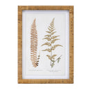 Melrose Wood Framed Fern Print Wall Decor, Rustic, Wood