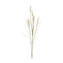 Melrose Foxtail Spray (Set of 6)