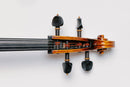 Thomastik-Infeld Peter Infeld 4/4 Cello String Set – Medium Tension