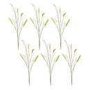 Melrose Foxtail Spray (Set of 6)