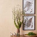 Melrose Moss Foliage Vine Branch (Set of 2)