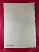 Roland GR-09 Guitar Synthesizer Working w/ Manual & 13-Pin Cable