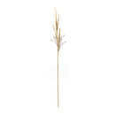 Melrose Foxtail Grass Spray (Set of 2)