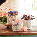 Melrose Stone Floral Patterned Planter Set of 3 Planter, Dolomite