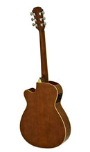 Aria AFN-15CE-OR Acoustic-Electric Guitar Cutaway EQ Orange
