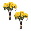Melrose Yellow Berry Bundle (Set of 2)