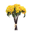 Melrose Yellow Berry Bundle (Set of 2)