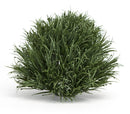 Melrose Spring Grass Half Orb (Set of 6)