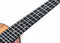 Twisted Wood Rock Roots RR‑200T Tenor Ukulele Solid Mahogany w/ Gig Bag