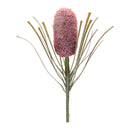 Melrose Protea Floral Stem (Set of 2)