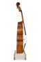 Gewa Europa 3/4 Gamba Double Bass Laminated - Golden Brown