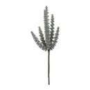 Melrose Succulent Plant Pick (Set of 6)