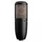 AKG Perception Series True Condenser Multi-Pattern Microphone - P420