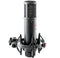 sE Electronics Large Diaphragm Condenser Microphone with Shockmount & Filter