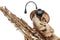 Samson AWX Wind Instrument Microphone Transmitter UHF Wireless System - D-Band