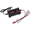 DS18 INF-C15A 6V/12V Portable Automatic Smart Lithium and AGM Car Battery Charger & Maintainer