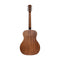 JN Guitars Dovern Series James Neligan Auditorium Acoustic Guitar - DOV-A