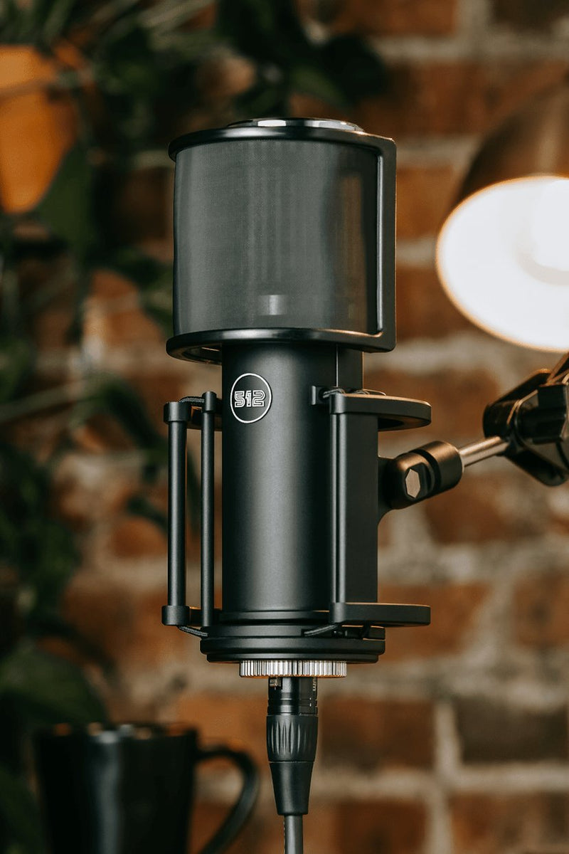 512 Audio Skylight Large-Diaphragm Condenser XLR Microphone - 512-SLT