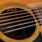 L.R. Baggs Lyric Acoustic Guitar Microphone - LYRIC