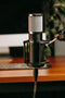 512 Audio Skylight Large-Diaphragm Condenser XLR Microphone - 512-SLT