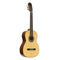 Angel Lopez Tinto Classical Guitar - Spruce/Lacewood - TINTO SL