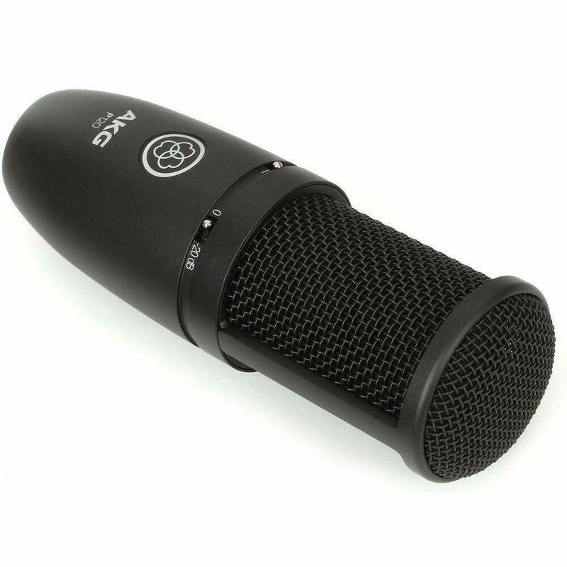 AKG P120 High-Performance General Purpose Recording Condenser Microphone