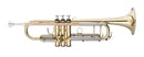Stagg Bb Trumpet - ML-Bore Leadpipe in Gold Brass w/ Soft Case