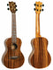 Flight Glossy Acacia Concert Ukulele Supernatural Series – DUC445 - New Open Box