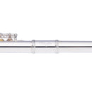 Stagg C Flute Closed Holes Silver Plated - WS-FL111