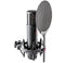 sE Electronics Large Diaphragm Condenser Microphone with Shockmount & Filter