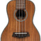 Islander Traditional Concert Ukulele with Solid Acacia Top - SAC-4