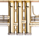 Stagg Bb Trumpet - ML-Bore Leadpipe in Gold Brass w/ Soft Case
