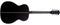 Washburn Deep Forest Folk Acoustic/Electric Guitar - Striped Ebony - DFEFE-U