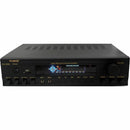 RSQ Audio KA-3000 2-Channel 300W Karaoke and Mulimedia Mixing Power Amplifier