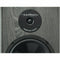 BIC America 200-Watt 2-Way 6.5-Inch Slim-Design Tower Speaker - DV64