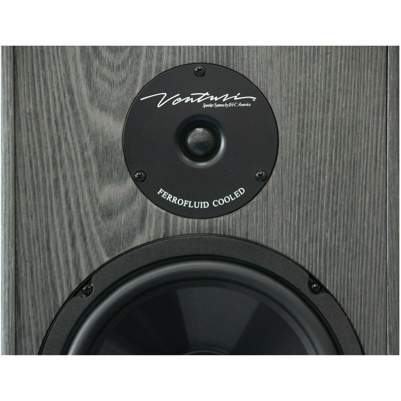 BIC America 200-Watt 2-Way 6.5-Inch Slim-Design Tower Speaker - DV64
