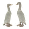 Distressed Stone Standing Duck Garden Statue (Set of 2)