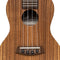 Islander AC-4 Concert Ukulele - Acacia Body