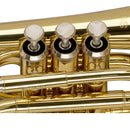 Stagg Bb Brass Pocket Trumpet w/ Gig Bag - WS-TR245S