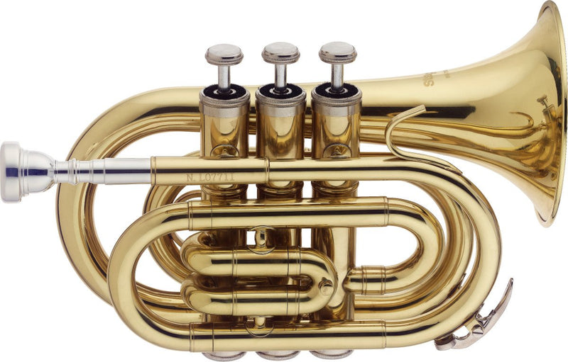 Stagg Compact Bb Pocket Trumpet with ABS Case - WS-TR245