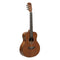 JN Guitars Classical Guitar with Sapelli Top - OLO-N