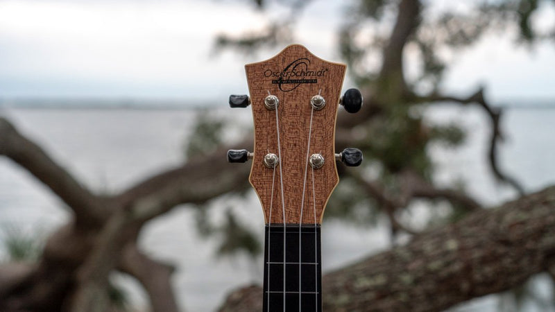 Oscar Schmidt Nature Series Soprano Ukulele - Butterfly - OUNBFLY