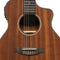 JN Guitars Oloroso Series Electric-Classical Guitar with Sapelli Top - OLO-CE N