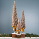 Potted Bottle Brush Pine Tree (Set of 3)